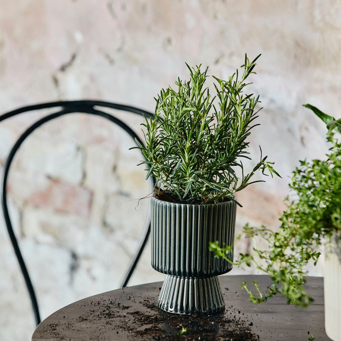 MULL krukker i stein - small - ø10 cm - blågrå Nordal INDOOR POT