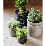 ISA potter av keramikk - ø15 cm - sort Nordal INDOOR POT