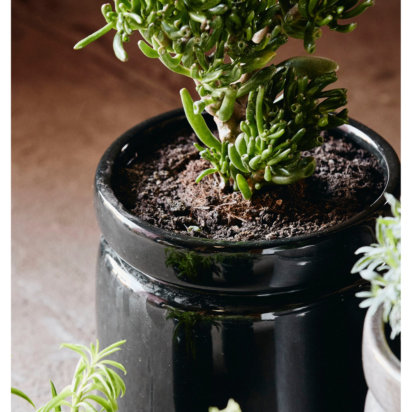 ISA-krukker - ø25 cm - sort Nordal INDOOR POT