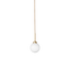 Apiales 1 Nuura Taklampe