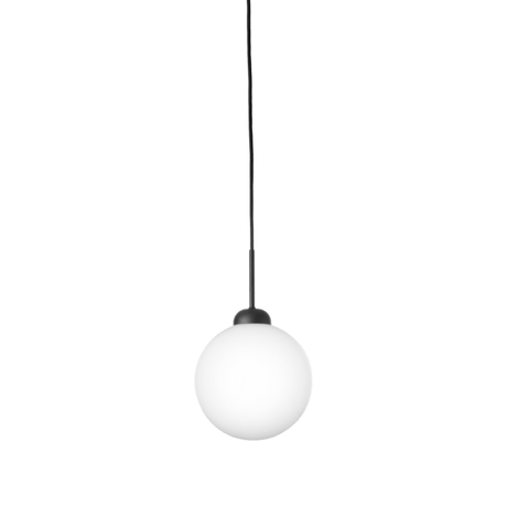 Apiales 1 Large Nuura Taklampe