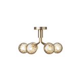 Apiales 6 Ceiling Nuura Taklampe