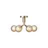 Apiales 6 Ceiling Nuura Taklampe