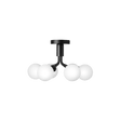Apiales 6 Ceiling Nuura Taklampe