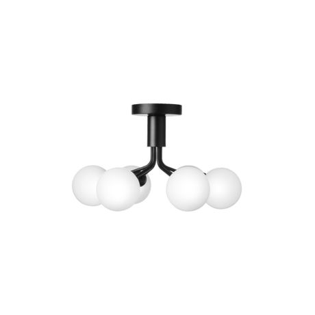 Apiales 6 Ceiling Nuura Taklampe