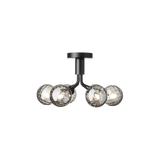 Apiales 6 Ceiling Nuura Taklampe