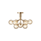 Apiales 9 Ceiling