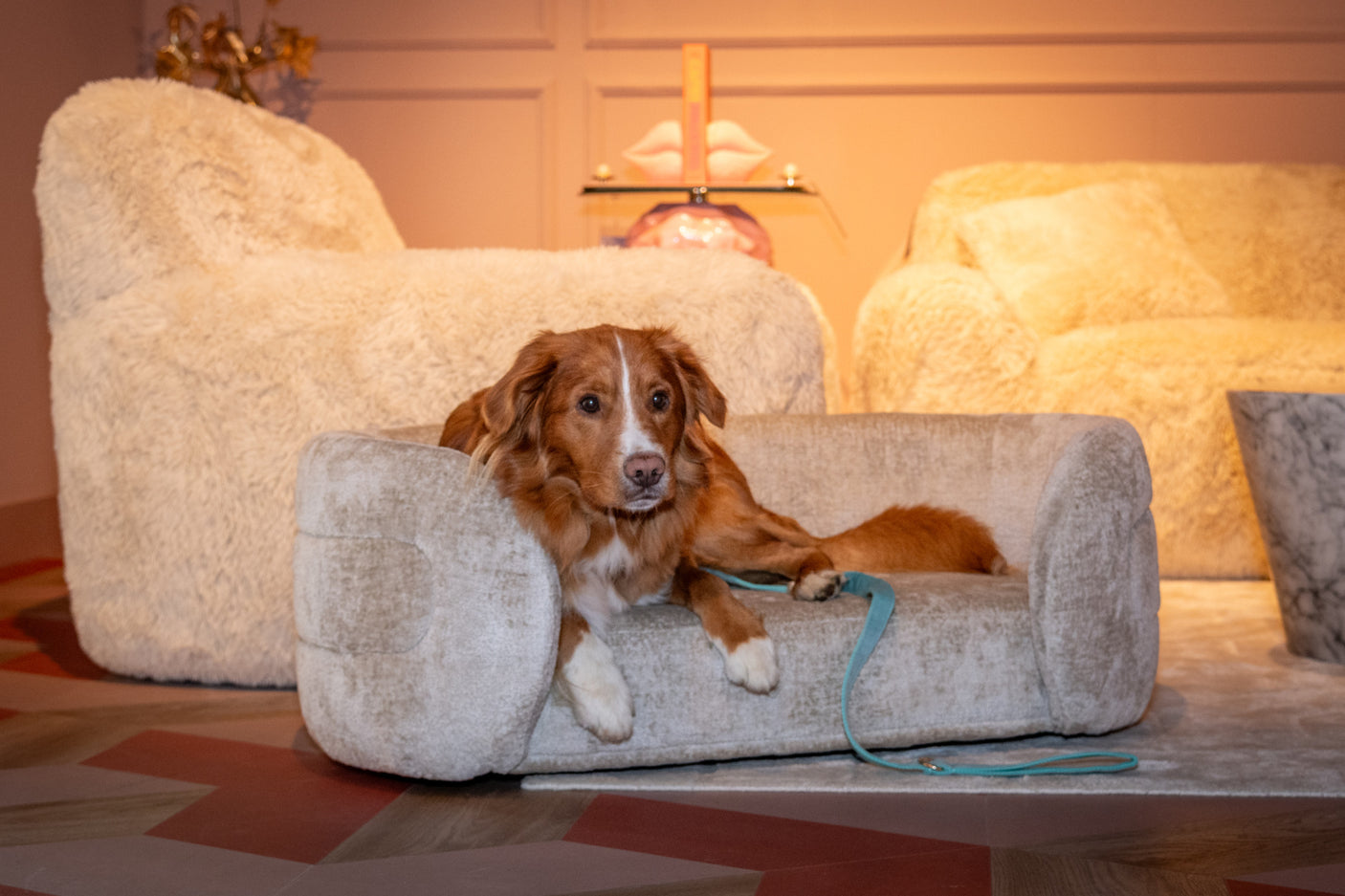 kjæledyrseng Bingo leire chenille Richmond Interiors Pledd