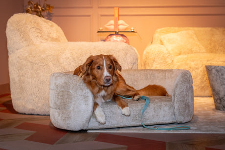 kjæledyrseng Bingo leire chenille Richmond Interiors Pledd