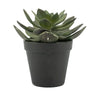 Sukkulent Echeveria 2 By-Boo Kunstig plante
