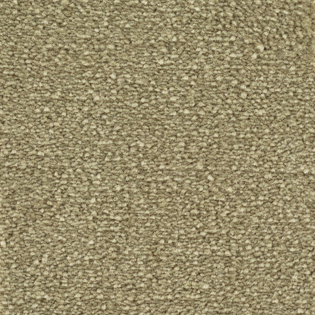 Avalon Golvabia Teppe