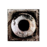 CIRCLE EARTH COLOR Artwood Bilde