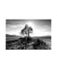 LANDSCAPE TREE - -Artwood -Nordstrand Møbler og Interiør