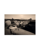 ARABIAN HUNT Artwood Bilde