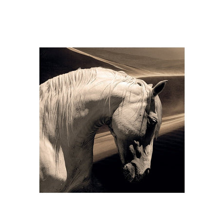 ARABIAN HORSE - -Artwood -Nordstrand Møbler og Interiør