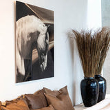 ARABIAN HORSE Artwood Bilde