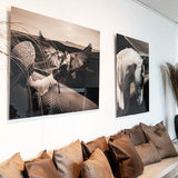 ARABIAN HORSE Artwood Bilde