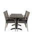 Denver Café Bord 120*70 + Anna Armstol Venture Design Spisegruppe