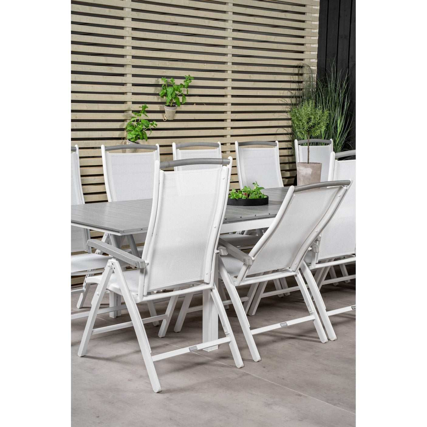 Levels Spisebord 224/324*100 + Albany stoler Venture Design Spisegruppe