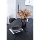 Sleek Extentiontable shed 195*95 + Velvet spisestoler Venture Design Spisegruppe