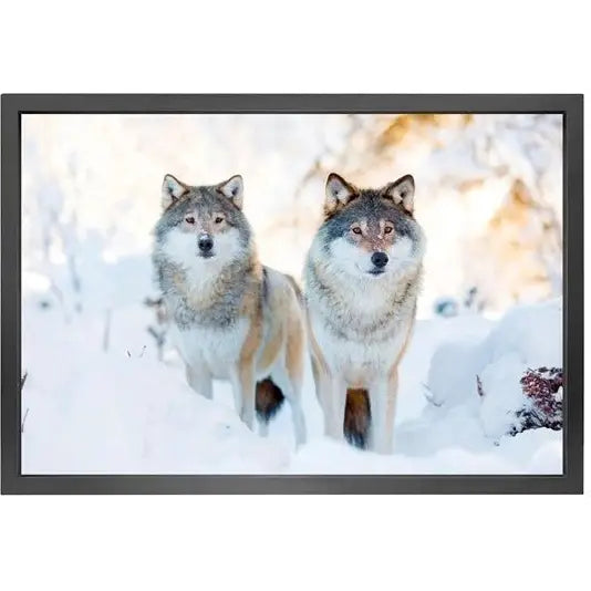 Canvas picture 5cm black frame Wolves Homefactory