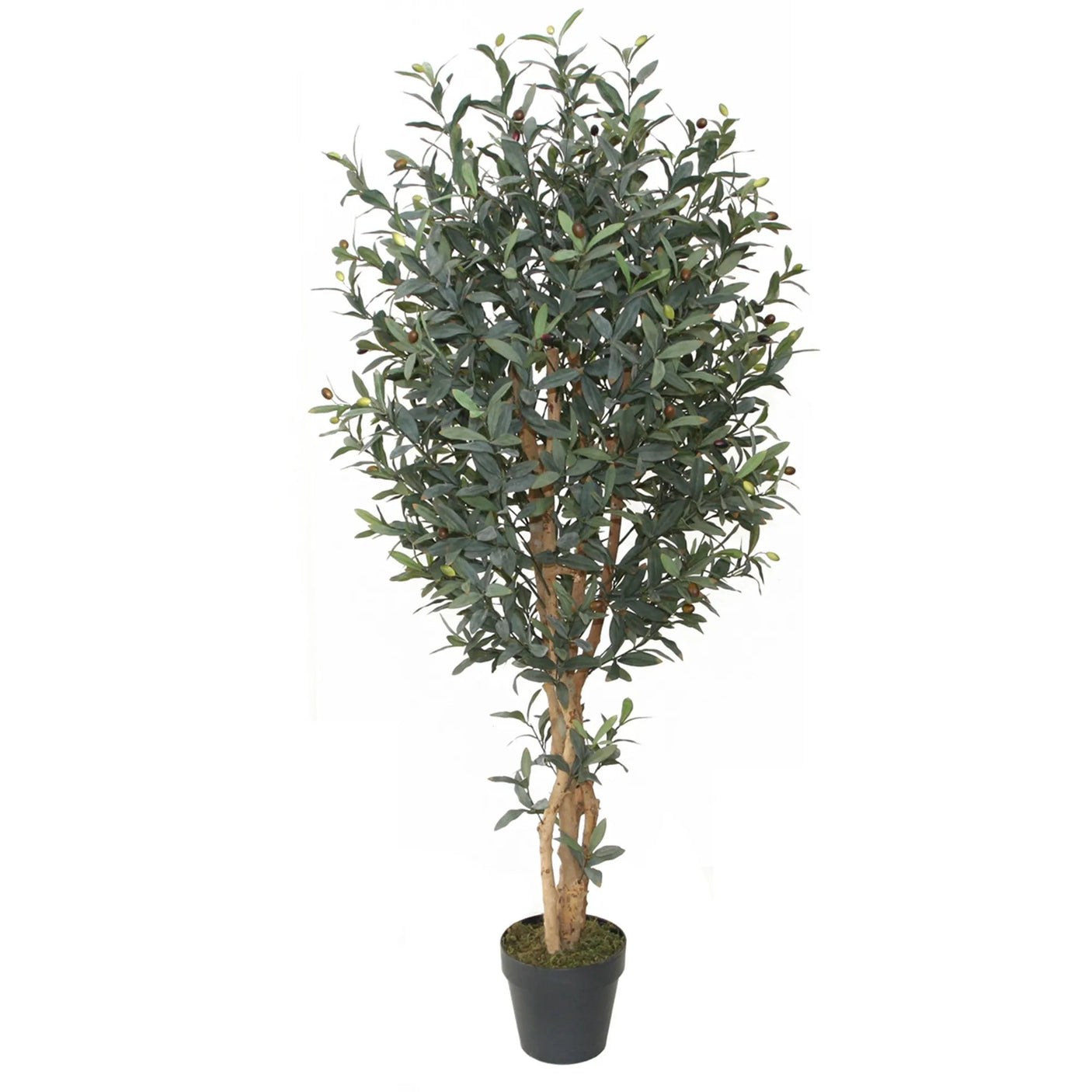 Kunstig plante: Olive tree with wood trunk 150cm fra Homefactory - Bildenr: 3