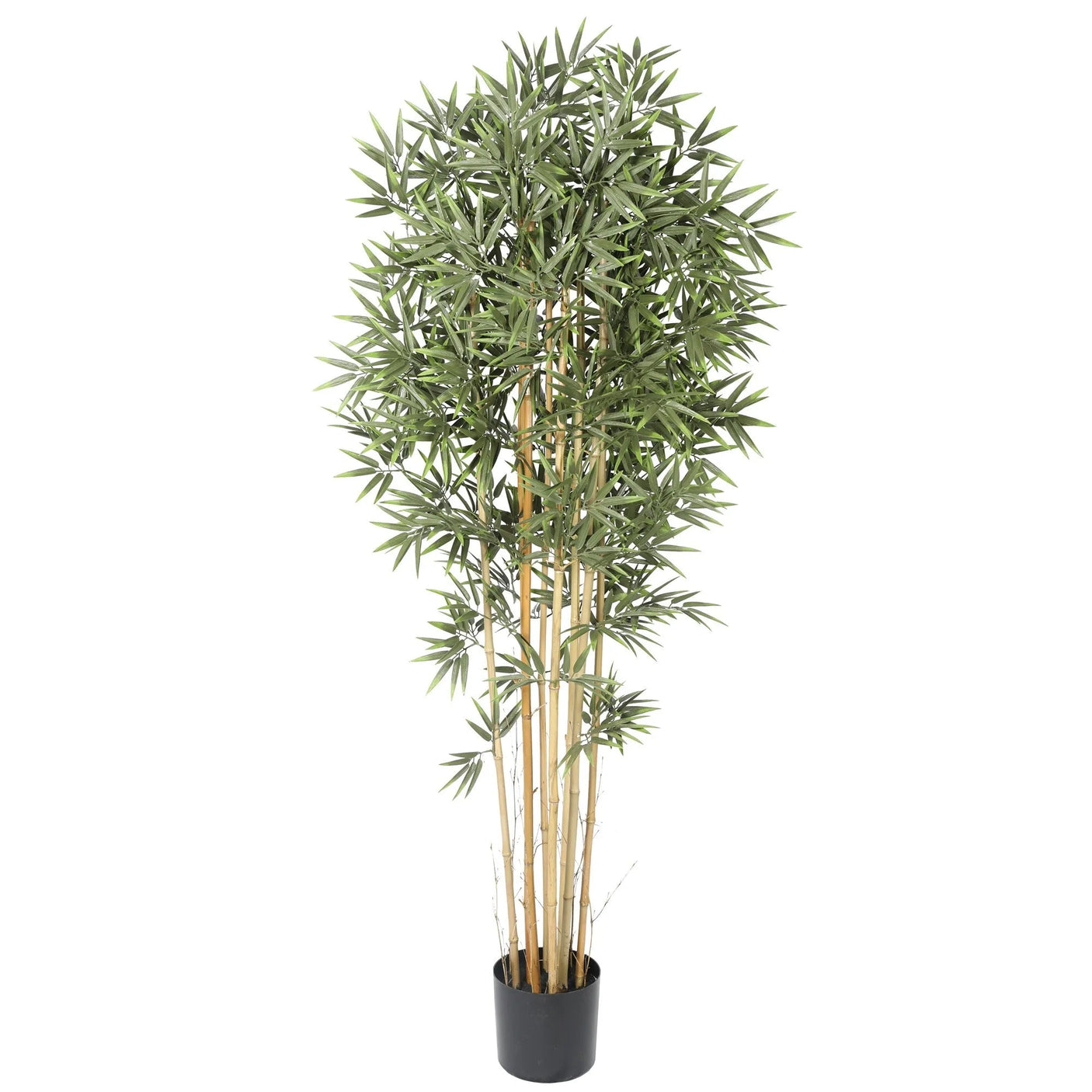 Kunstig plante: Premium Bamboo real trunk 180cm fra Homefactory - Bildenr: 2