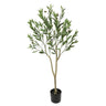 Olive Tree with Leaves Homefactory