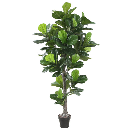 Kunstig plante: Fiddle Leaf Fig Tree Indoor 190cm fra Homefactory - Bildenr: 4